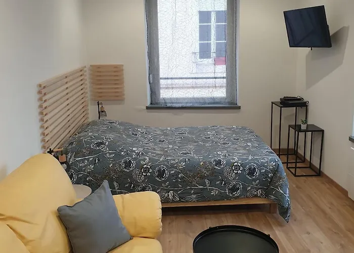 Appartement Agreable En Plein Coeur De Ville